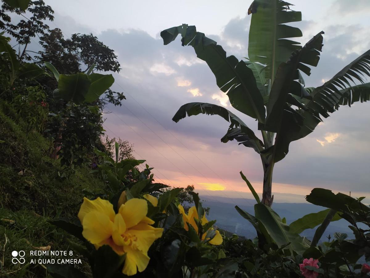 Mirador Finca Morrogacho Манисалес Экстерьер фото