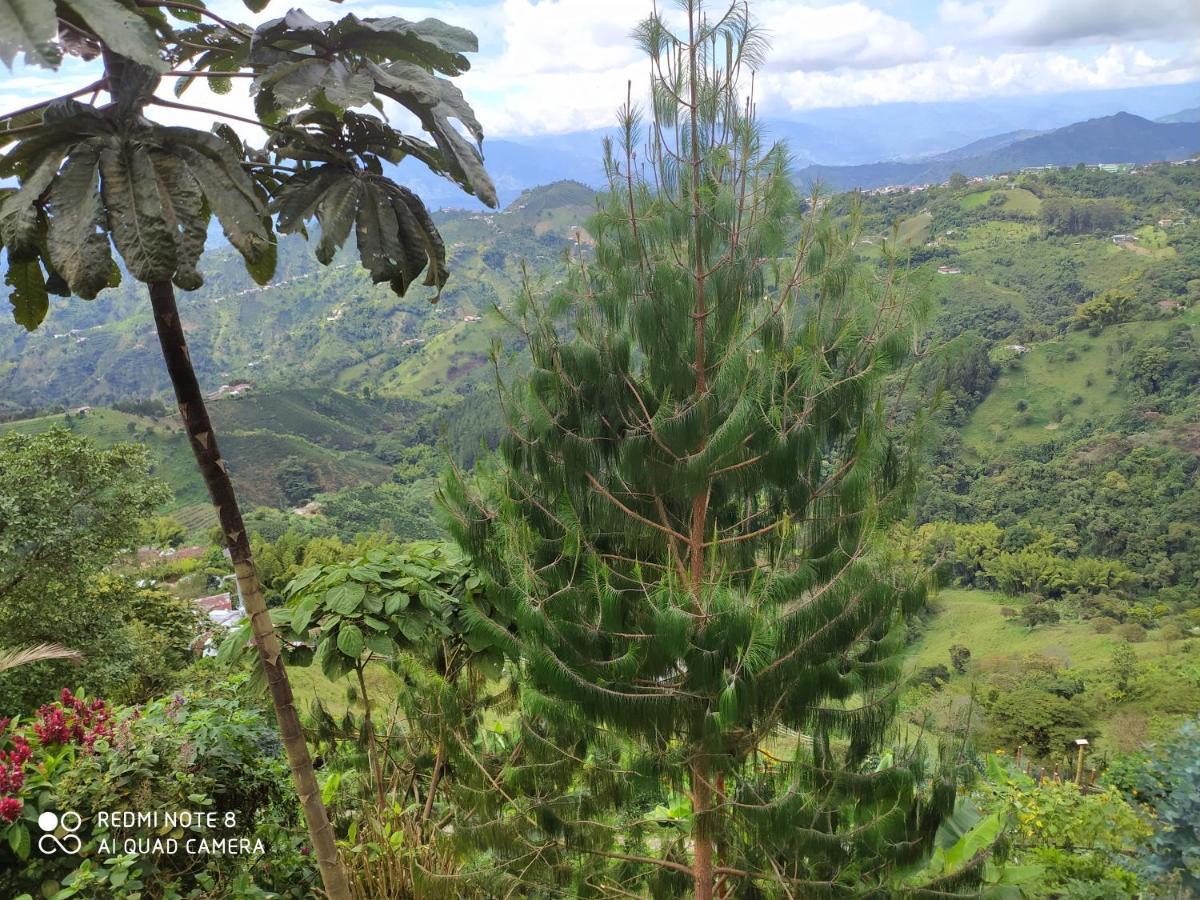 Mirador Finca Morrogacho Манисалес Экстерьер фото