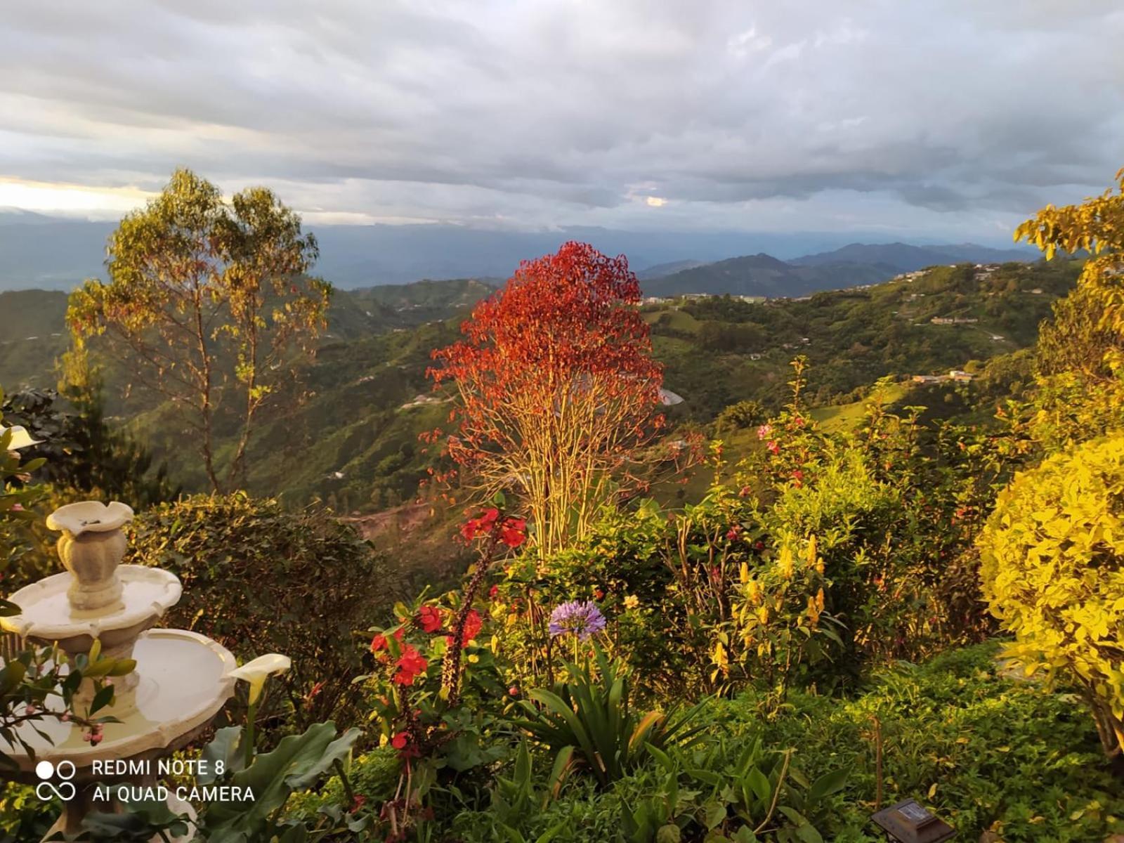 Mirador Finca Morrogacho Манисалес Экстерьер фото